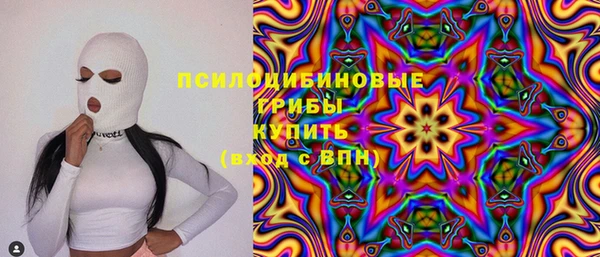 Альфа ПВП Арсеньев